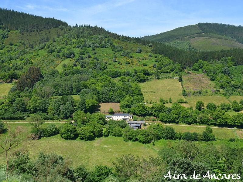 Panorámica de Aira de Ancares