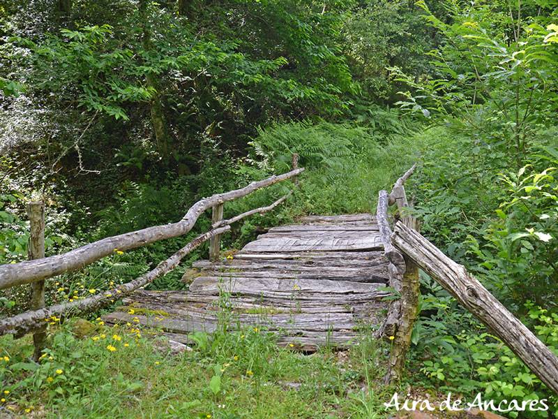 Puente ruta Pena Tallada